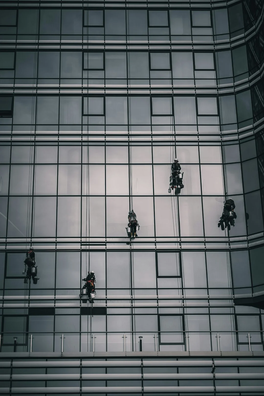 team-skip-04